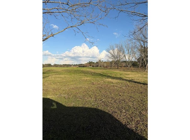 Lakeview Circle lot: #38, Nashville, GA 31639