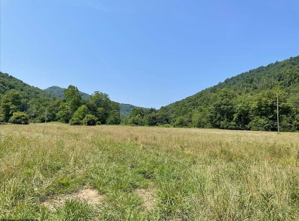 245 Whiteoak Road, Erbacon, WV 26203