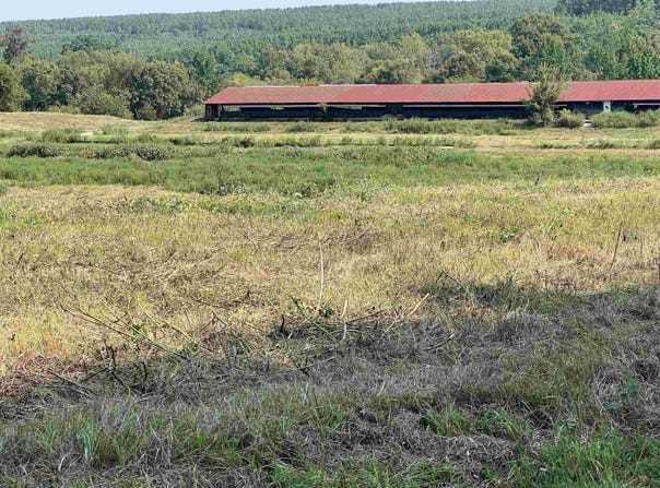 W Hwy 84, Umpire, AR 71971