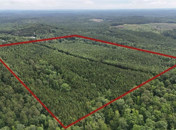 Skyview Lake, Cottondale, AL 35453