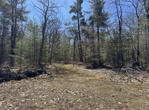 865 Wintree Drive, Indian River, MI 49749