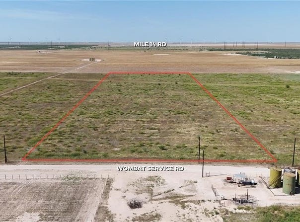 Wombat Service Road, La Joya, TX 78560