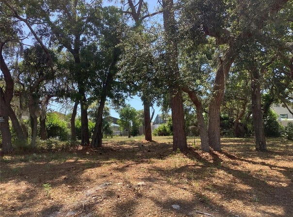 18657 WHITE PINE Circle, HUDSON, FL 34667