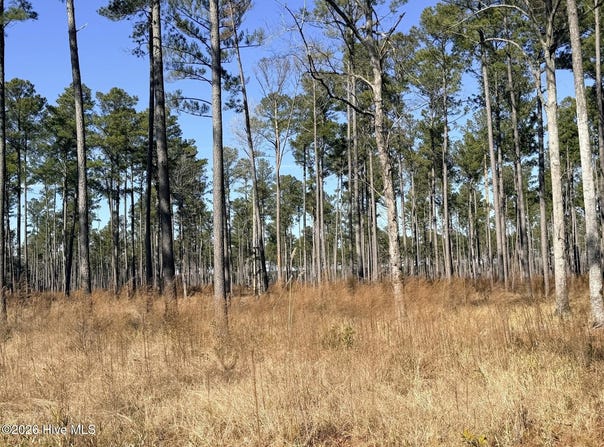 Sr 1119 Off, Chocowinity, NC 27817