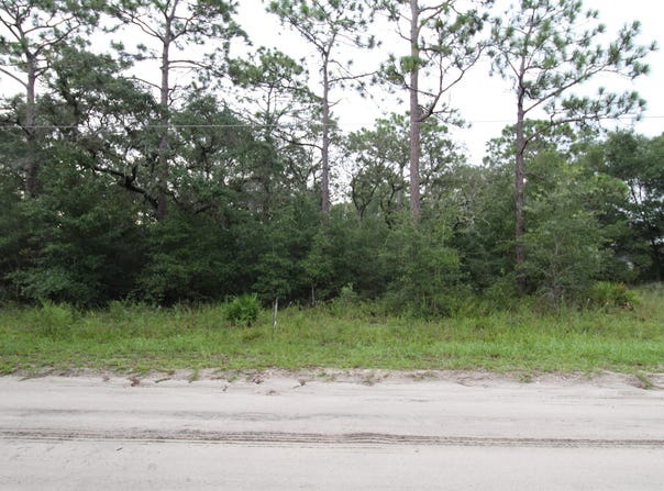 Britton Drive lot: 4, Panacea, FL 32346