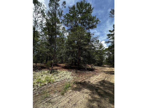 402 Deeda St, Florahome, FL 32140