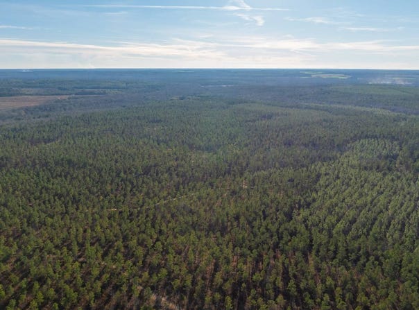 Addie Dairy Road, Preston, GA 31824