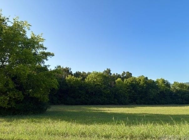 131 Osage Avenue, Mountain View, AR 72560