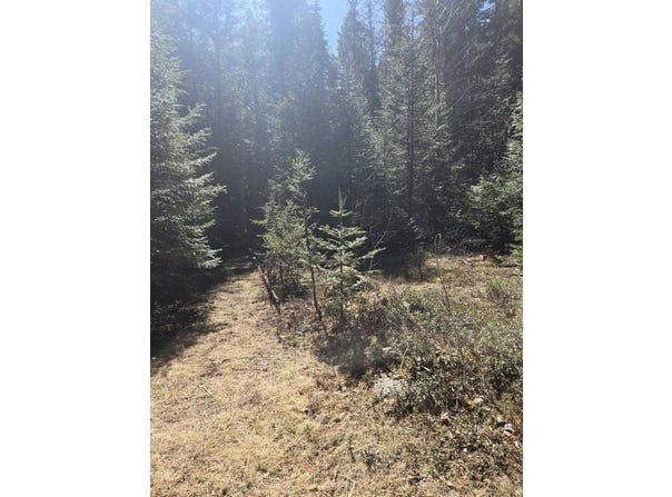 192 Meadowlark Ln, Cusick, WA 99119
