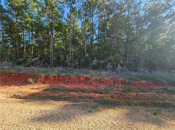 MAKINLEY Loop lot: 53, Amite, LA 70422