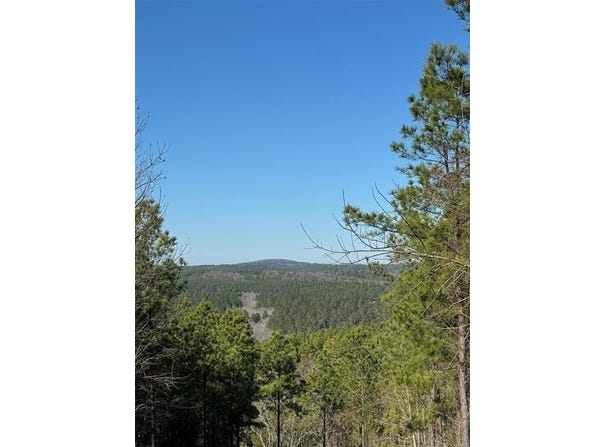 79 Vine Court, Broken Bow, OK 74728