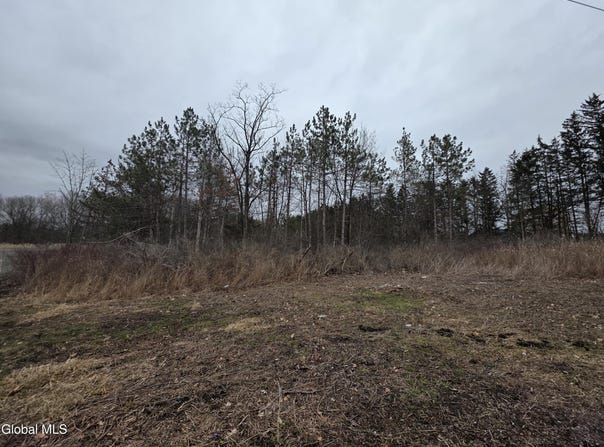 L27-1 Jensis Rd, Castleton, NY 12033