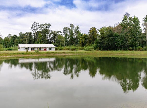 6615 State Line Road, Cottonwood, AL 36320