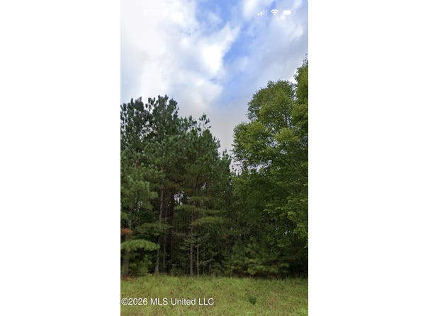 5265 Dean Road, Lake Cormorant, MS 38641