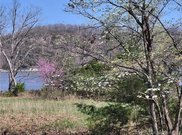 Emerald Hills Drive, Edwards, MO 65326