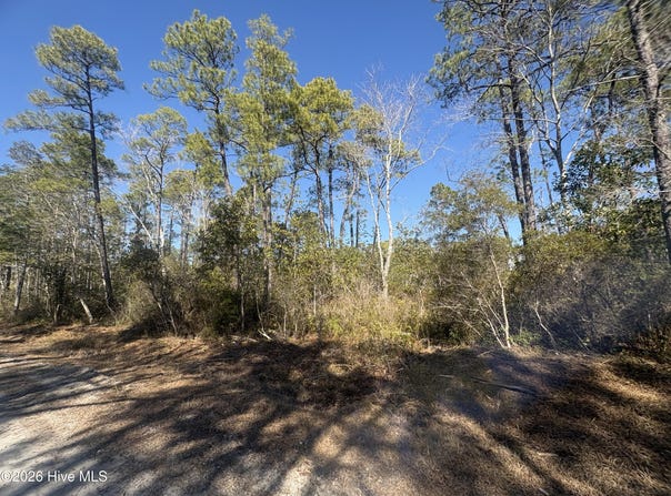 516 Barclay Road, Boiling Spring Lakes, NC 28461
