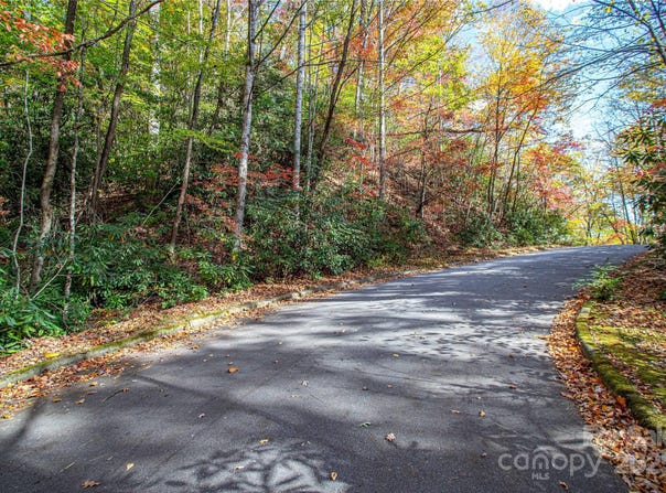 Stone Drive, Brevard, NC 28712