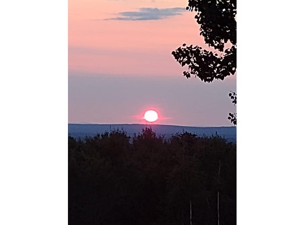 265 Vinegar Hill Road, Lowell, ME 04493