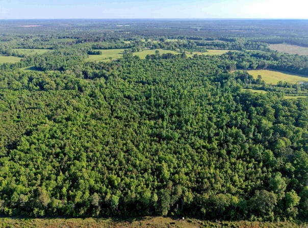 Nevada Road 107, Bodcaw, AR 71858