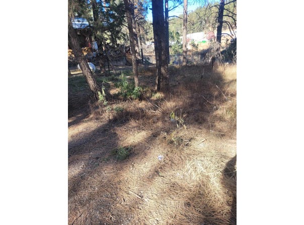 23 Valley Ave, Mayhill, NM 88339-9999
