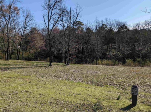 Brighton Pointe lot: 56, Heber Springs, AR 72543