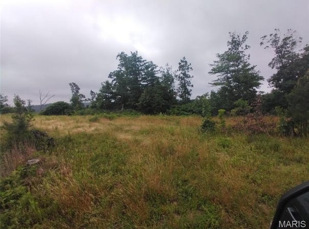 Tract 4 Highway O, Belleview, MO 63623