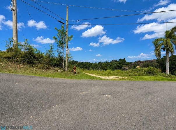 Plana, Isabela, PR 00662