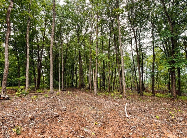 Landrum Road, Bainbridge, OH 45612