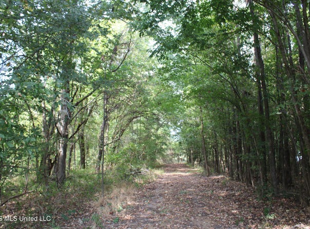 6 Star Landing Road, Nesbit, MS 38651
