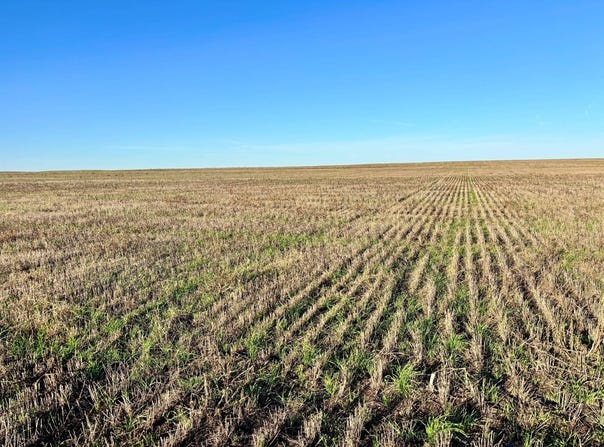County Road J, Brewster, KS 67732