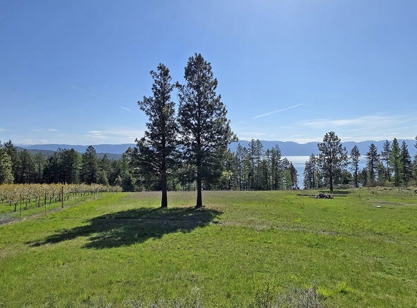 22756 Us Highway 93, Rollins, MT 59931