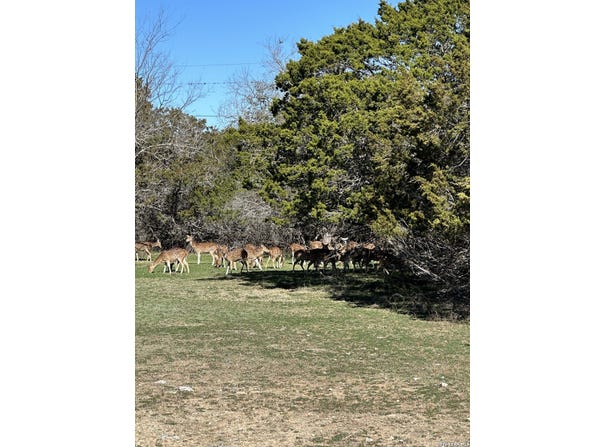 Deerwood, Bandera, TX 78003