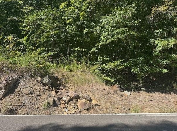 6360 Wilder Hwy lot: 364A, Wilder, TN 38589