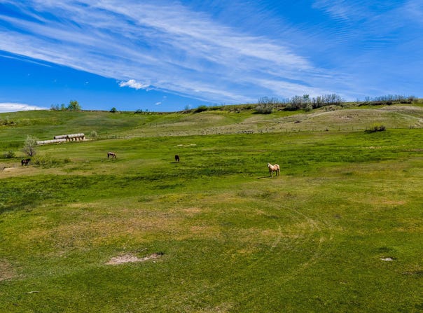 Beaver Creek Road, Sheridan, WY 82801