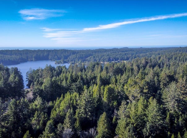 CEDAR Ln, Florence, OR 97439
