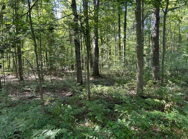 3250 W Isabella Road, Shepherd, MI 48883
