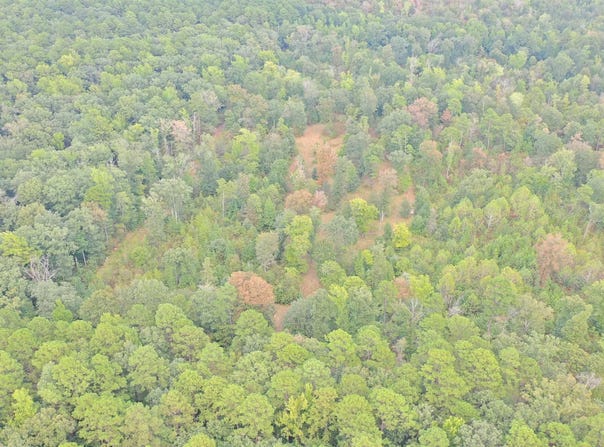 Kulp Road, Y City, AR 72926