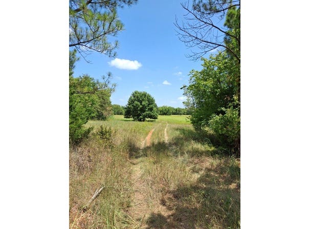 county Road 1460, Ada, OK 74820