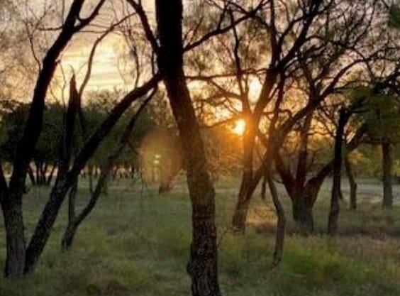 495 Buffalo Creek (Lot 95) Dr, Evant, TX 76525