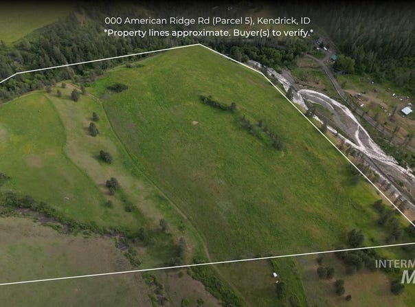American Ridge Rd (Parcel 5), Kendrick, ID 83537