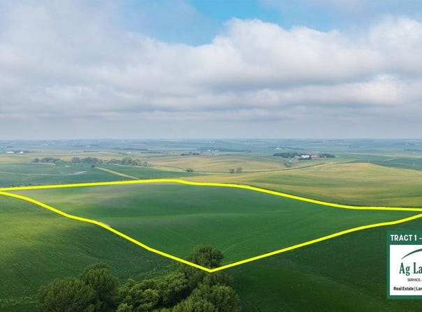 56317 864th Rd, Randolph, NE 68771