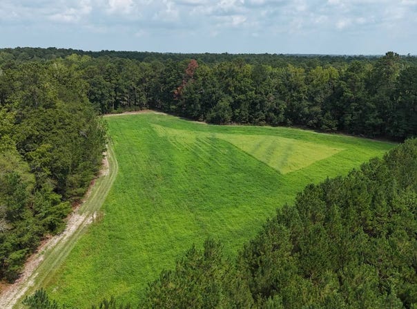 Hopewell Road, Hampton, SC 29924