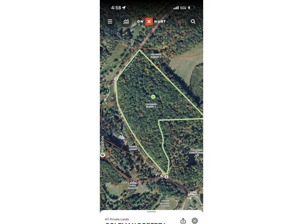 4154-A State HIghway 2, Olive Hill, KY 41164