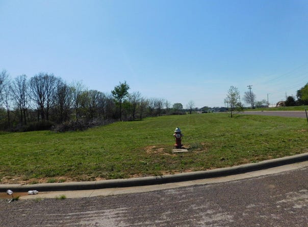 Wellington Avenue, Monett, MO 65708