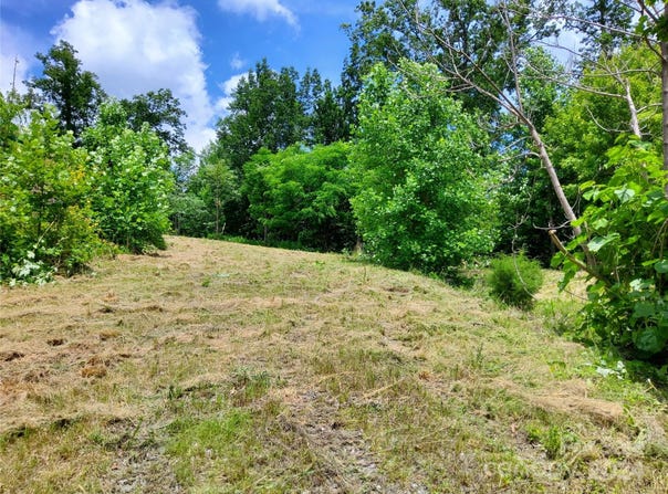 Bear Cliff Way, Lake Lure, NC 28746