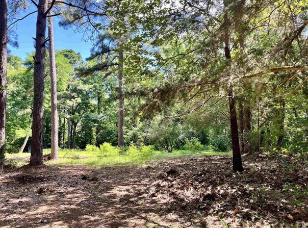 130 Dallas 216, Sparkman, AR 71763