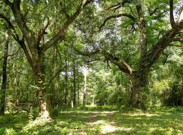 MS HWY 587, Foxworth, MS 39483
