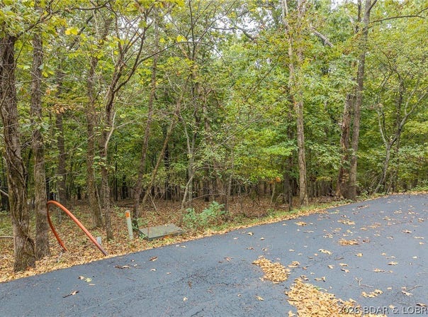 Champion Ct, Sunrise Beach, MO 65079