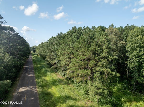 Jolene Road, Basile, LA 70515