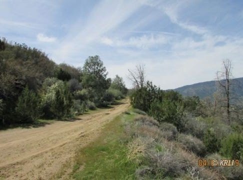 Rim, Bodfish, CA 93205